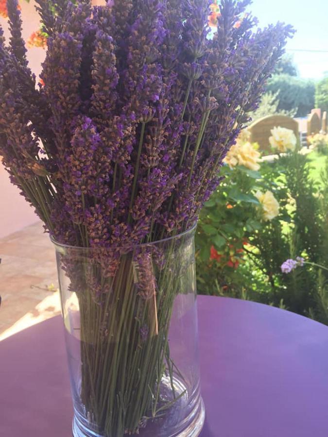 D’hôtes Vaucluse Couette-café 2*