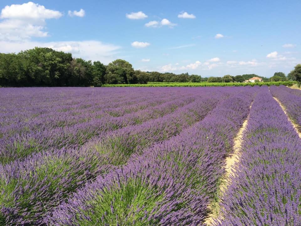 D’hôtes Vaucluse 2* Bollène