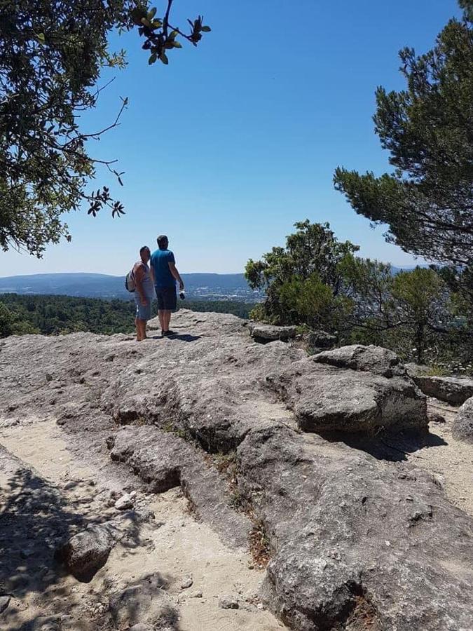 Alojamento de Acomodação e Pequeno-almoço D’hôtes Vaucluse