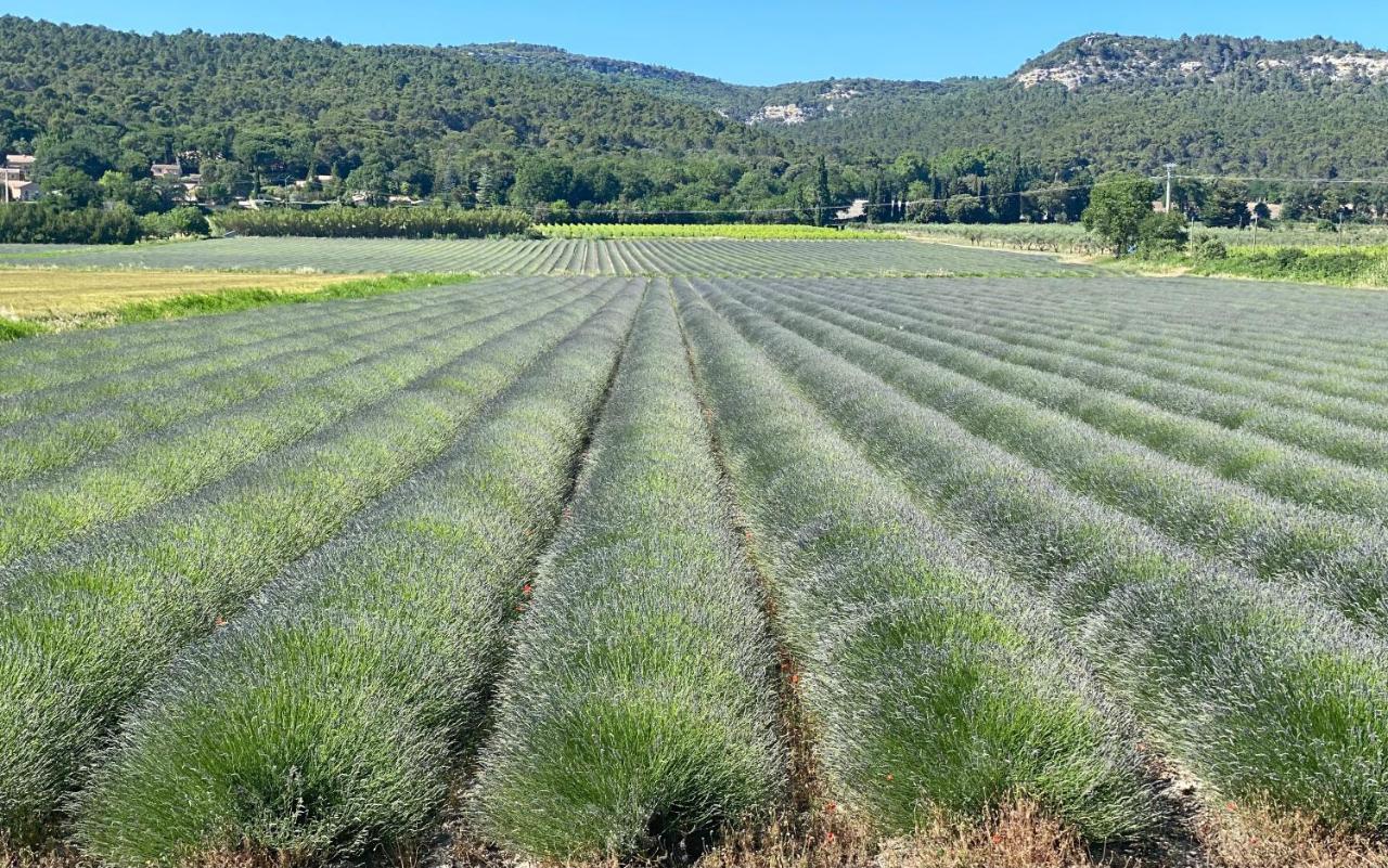 D’hôtes Vaucluse Alojamento de Acomodação e Pequeno-almoço 2*